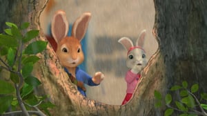 Petteri Kaniini (S): 16.01.2016 08.47