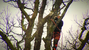 Näin Norjassa: 19.01.2016 15.40