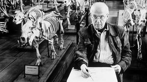 Cartier-Bresson, valokuvan uudistaja: 11.11.2015 21.00