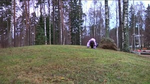 Arvaa mikä: 26.10.2015 07.11