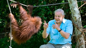 David Attenborough - luonnon asialla: 31.12.2015 08.05