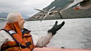 David Attenborough - luonnon asialla: 10.11.2015 19.00