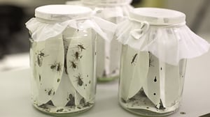 Prisma: Oudoimmat luonnonilmiöt: 21.02.2016 12.40