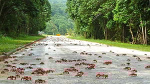 Prisma: Oudoimmat luonnonilmiöt: 28.02.2016 12.40