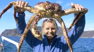 Prisma: Eläinmaailman valtaajalajit: 24.12.2015 07.05