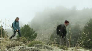 Prisma: Eläinmaailman valtaajalajit: 25.12.2015 07.05