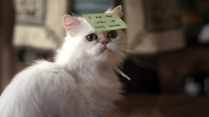 Cuckoo (12): 22.12.2015 23.26