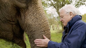 Luontohetki: Attenborough'n erikoiset: 13.03.2016 23.30