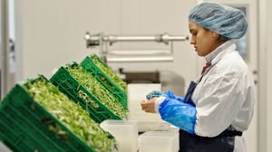 Elokuva: Syödä, nukkua, kuolla: 08.05.2016 21.00