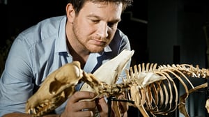 Tiededokumentti: Luiden salat: 07.01.2016 21.00