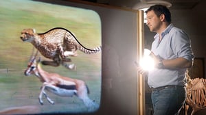 Tiededokumentti: Luiden salat: 14.01.2016 21.00