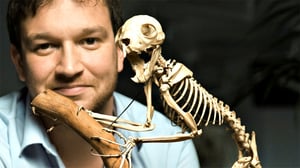 Tiededokumentti: Luiden salat: 21.01.2016 21.00