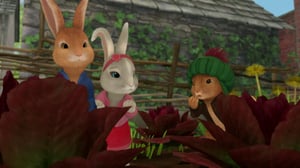 Petteri Kaniini (S): 06.02.2016 08.48