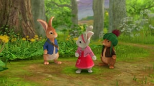 Petteri Kaniini (S): 05.03.2016 08.46