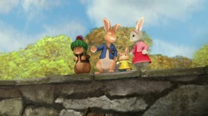 Petteri Kaniini (S): 31.10.2015 08.45