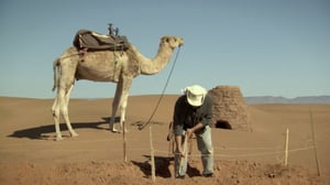 Naurupalat (S): 30.11.2015 18.52