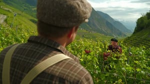 Naurupalat (S): 03.01.2016 20.10