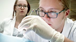 Kandit: 08.03.2016 06.12