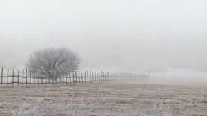 Pohjolan luonto (S): 08.11.2015 19.30