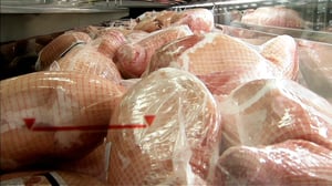 MOT: Superbakteeri kinkussa: 16.03.2016 18.00