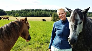 Dok: Hevosen muisti: 20.11.2015 20.00