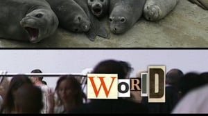 Hullunkurinen maailma (S): 31.01.2016 17.56