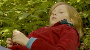 Metsäpiilon kolmikko (S): 19.04.2016 18.30