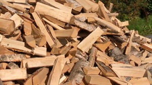 Kotikisat: 18.01.2016 13.35