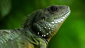 Avara luonto: Thaimaan kaunis luonto: 07.11.2015 18.45