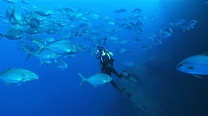 Sukelluspioneerien jalanjäljissä: 03.01.2016 20.00