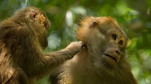 Avara luonto: Thaimaan kaunis luonto: 31.10.2015 18.45