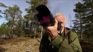 Norjaa ristiin rastiin: 01.02.2016 19.53