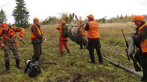 Närbild: 01.11.2015 20.00