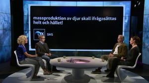 Obs debatt: 29.10.2015 19.55