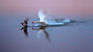 Yö pitkä, elokuva lyhyt 2015: Happy hour (S): 21.12.2015 21.52