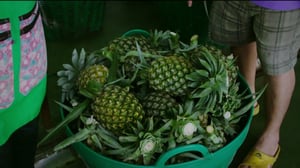 MOT: Ananaksen kitkerä jälkimaku: 01.04.2016 05.20