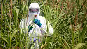 Ulkolinja: Suuri siemenbisnes: 30.12.2015 23.05