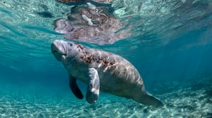 Avara luonto: Manaatin retket: 28.03.2016 08.05