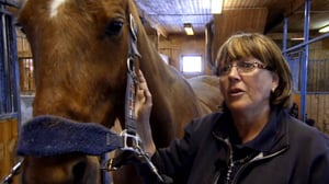 Eläimet lähellä sydäntä: 11.12.2015 14.50