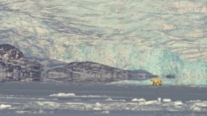 Norjan eläimiä: 06.03.2016 19.50