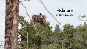 Norjan eläimiä: 27.03.2016 19.50