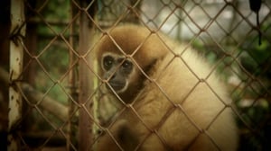 Luontomatkalla: 31.12.2015 21.00