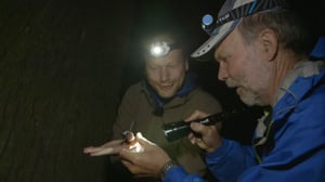 Luontomatkalla: 04.01.2016 21.00