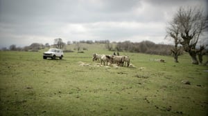 Luontomatkalla: 11.01.2016 21.00