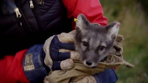 Luontomatkalla: 14.01.2016 21.00