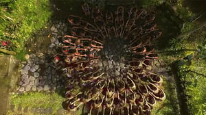 Sami Yaffa - Sound Tracker: 10.11.2015 21.02