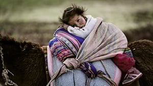 Prisma: Ihmisen universumi: 24.02.2016 19.00