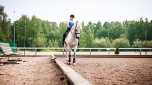 Ystäväni hevonen: Pararatsastus: 06.12.2015 07.08