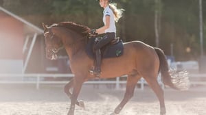 Ystäväni hevonen: Kenttäratsastus: 22.11.2015 07.06