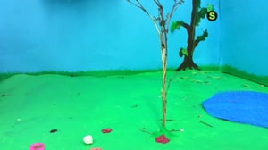 Kaikki kuvaa: 29.12.2015 12.00